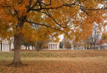 First Years’ Reflections: Thanksgiving Break