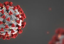 First Member of the University Community Tests Positive for COVID-19