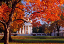 Fall Fun in Charlottesville: Top 5 Activities