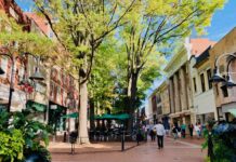 Hoo’s in C’ville this summer?